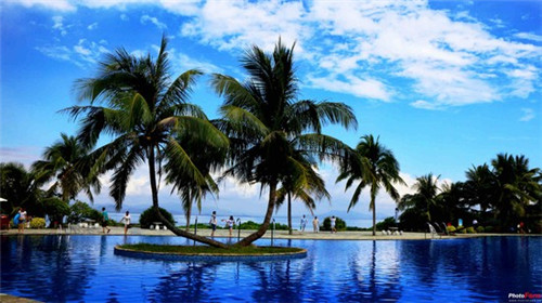 澳美徕澳门花胶鸡