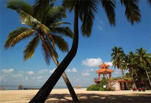 来客缘加盟费多少，来客科技有限公司