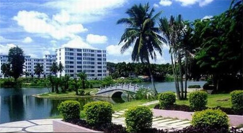 台山市开店艺术培训加盟10大品牌有哪些，台山市开店艺术培训加盟10大品牌有哪些地方