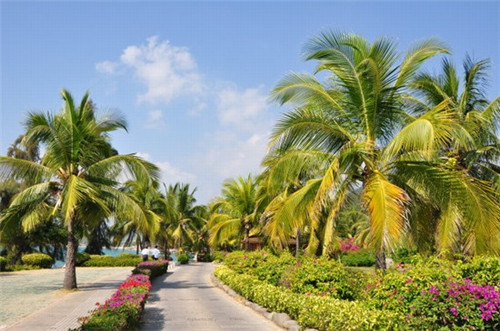 奶茶店小技巧，奶茶店怎么打奶茶