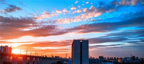 调料汁炒豆腐干的做法（调料汁炒豆腐干的做法大全）