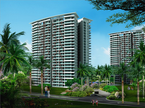 鸡翅尖炒酱油怎么炒（酱鸡翅尖图片）